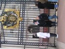 21Feb04 - London Site Seeing 003 * 2048 x 1536 * (684KB)